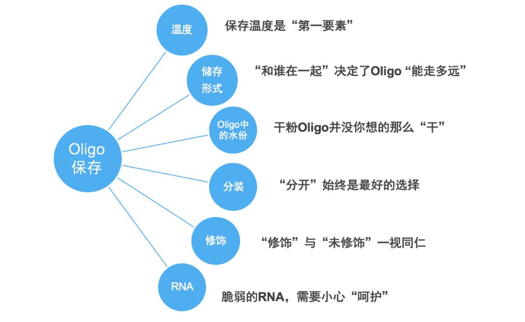 IDT oligo使用说明_idteCSDN博客