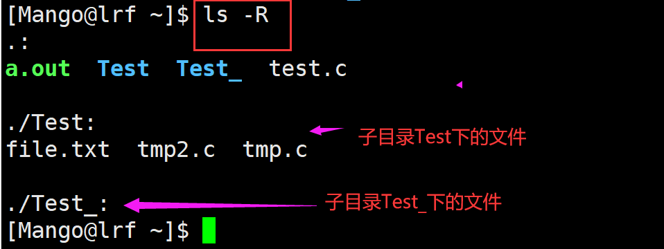 image-20220224204523969