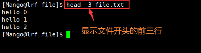 image-20220227102940137