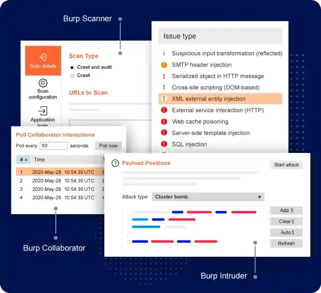 Burp Suite Professional 2024.6 for macOS x64  ARM64 - 领先的 Web 渗透测试软件