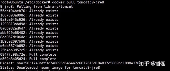 docker 删除所有镜像_Docker常用命令