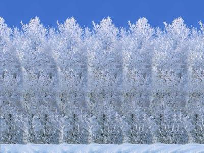 三维立体图怀旧90年代曾风靡一时的三维立体画还记得吗