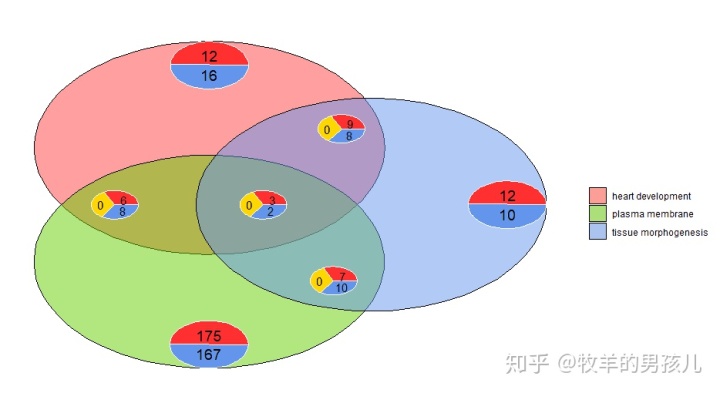 go语言 第三方包安装方法_GO富集分析可视化：R语言GOplot包_weixin_39579468的博客-CSDN博客