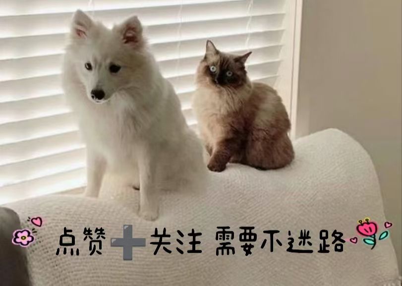 6e02f8f3b673bc433705d09c44a6033e.jpeg