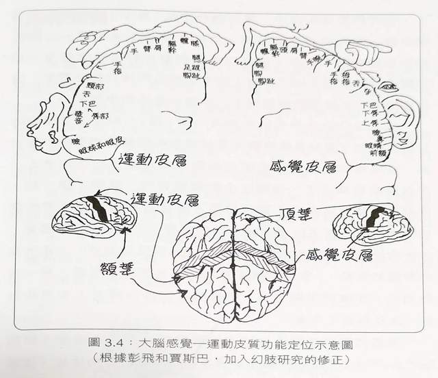 0~9岁|一文讲清楚精细动作有多重要