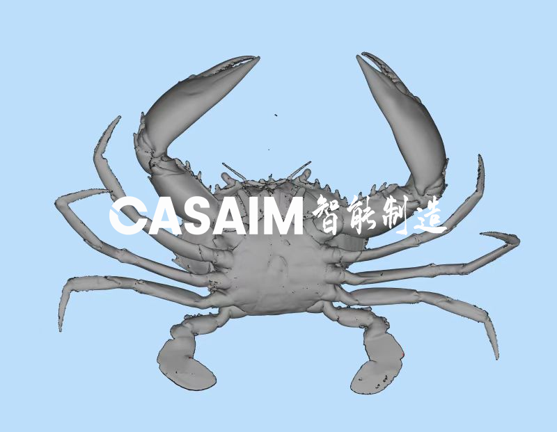湖南衡阳3D扫描在生物仿真研究的应用高精度三维扫描螃蟹-CASAIM中科广电