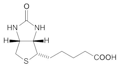 生物素标记肽Biotin-εAhx-GLKLRFEFSKIKGEFLKTPEVRFRDIKLKDN