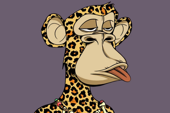 6e78a83f2a09aa9ff37746f5f347a432.png