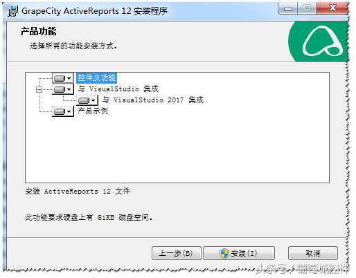 ActiveReportsV12新特性-可定制的安装设置