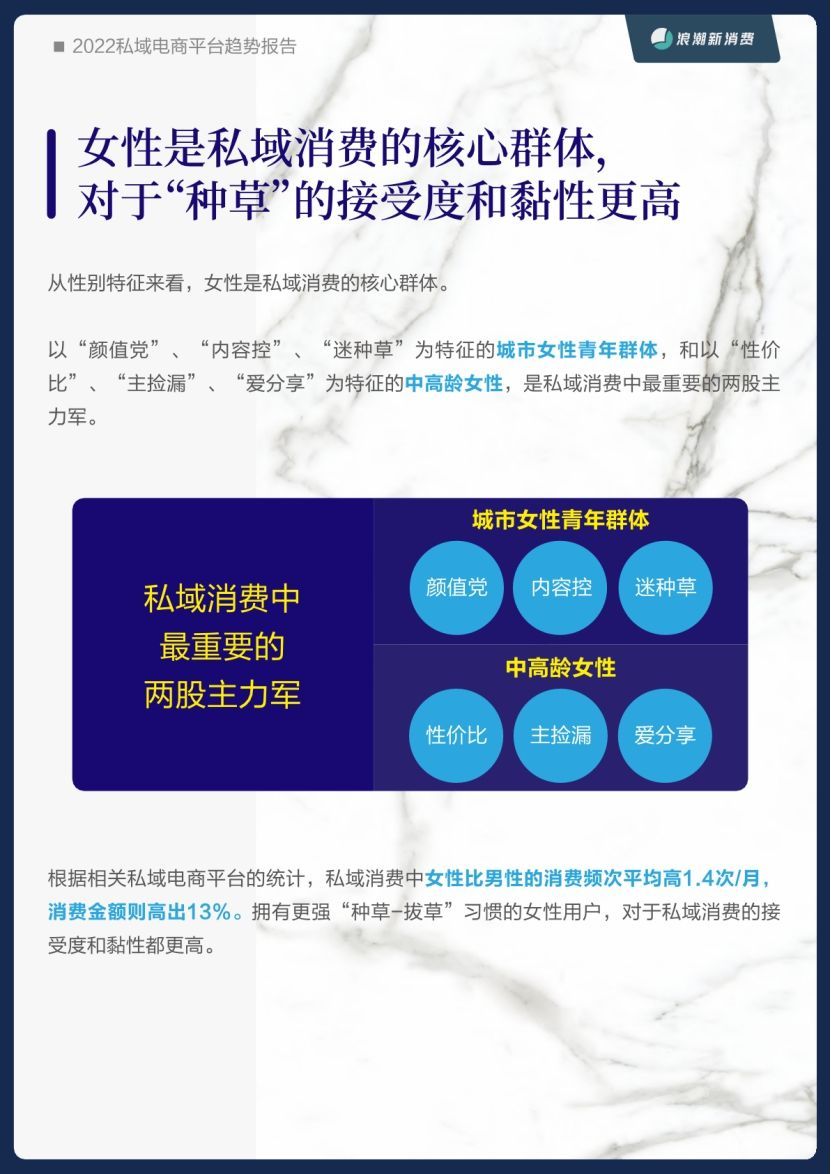 蓝本蓝科技：私域解读|2022年私域电商平台趋势报告--浪潮新消费
