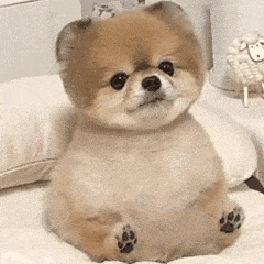 6ea9f4e9e4dc4869fe2ee76140f67e8b.gif