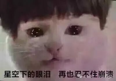 6eba41ff2f2b1f89cb18dba02194ca03.jpeg