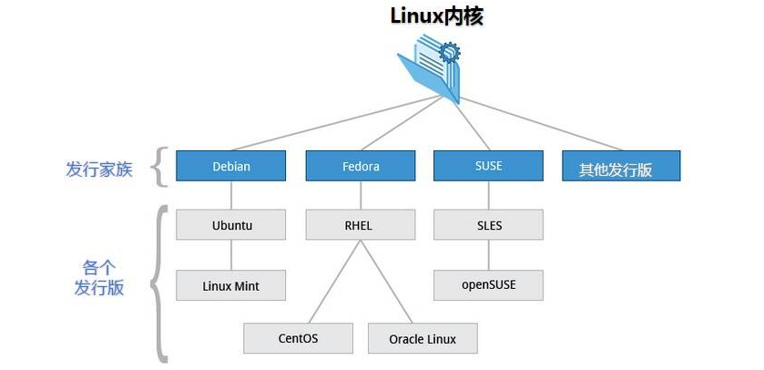 测试需要掌握的 Linux 操作系统知识,看这一篇文章就够了!_linux系统家族-CSDN博客