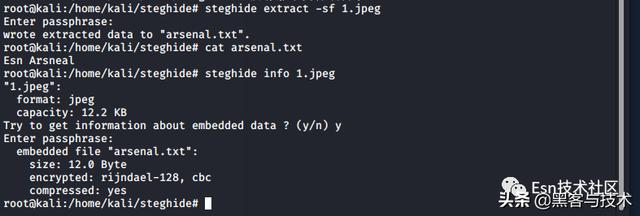 信息隐藏将txt文件合并到jpg文件中_使用Kali Linux在图像内隐藏机密消息—可在任何Linux发行版使用