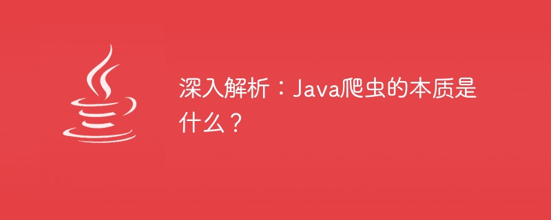 深入解析：Java爬虫的本质是什么？