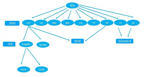 DNS服务配置与管理插图