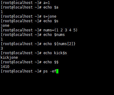 bash shell定义变量