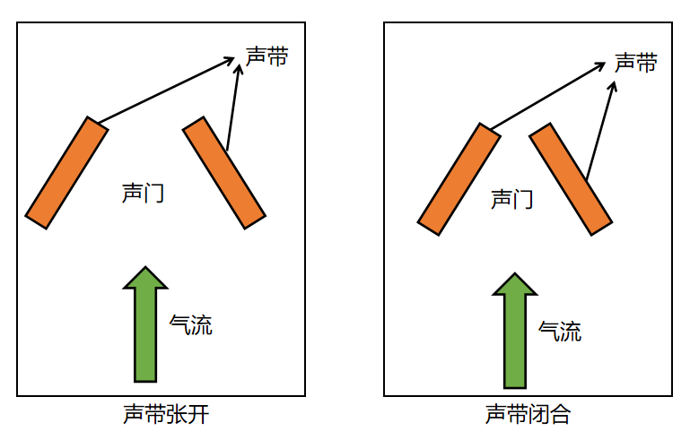 【语音处理】声音的产生机制和数学模型-CSDN博客