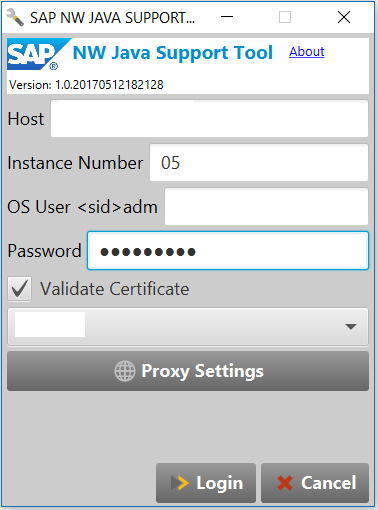 SAP NW Java 支持工具：连接到 Java 系统