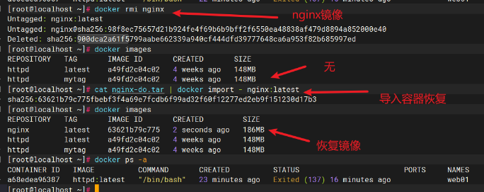 Docker容器的基础命令操作大全(入门必看)