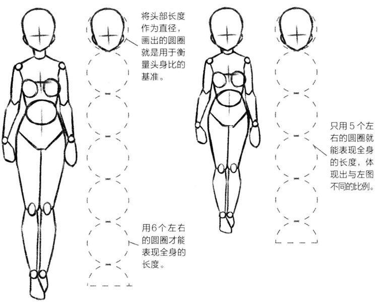 动漫人体比例怎么画？怎样才能画好动漫人体比例？