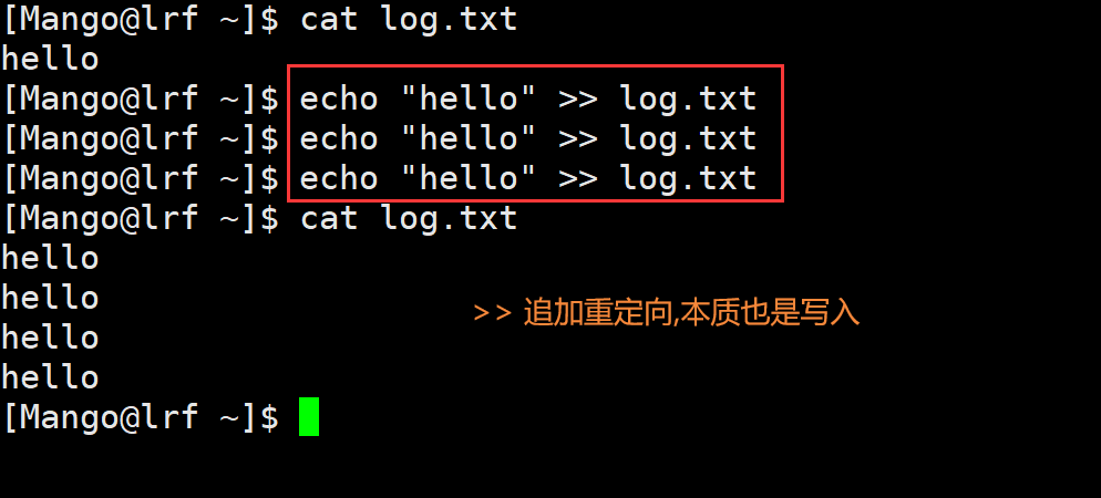 image-20220313143804010