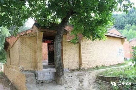 古风一棵桃花树简笔画 门前种桂花树的禁忌有哪些 门前种什么树风水好 Xingming Zhenshi的博客 Csdn博客