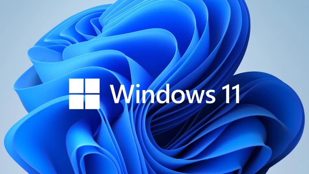 windows 11 22449 iso download