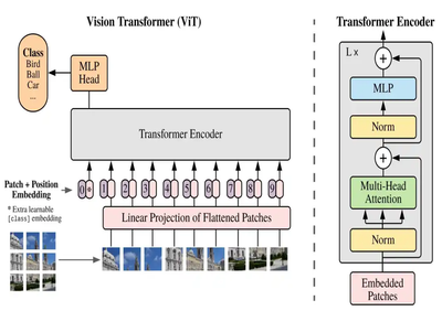 thumbnail image 1 of blog post titled                                              Train Vision Transformer model and run Inference