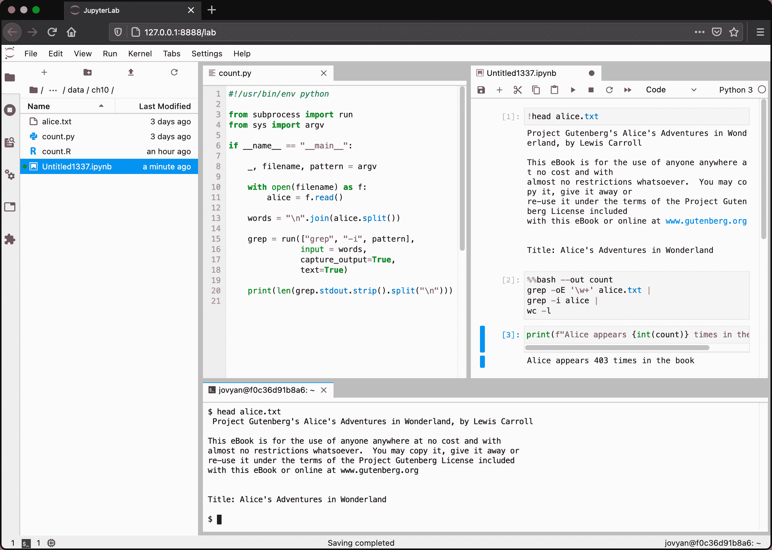 JupyterLab with the file explorer, a code editor, a notebook, and a terminal