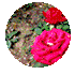 70ae4ad2b9f559d5937bd1d9501bb4d6.gif