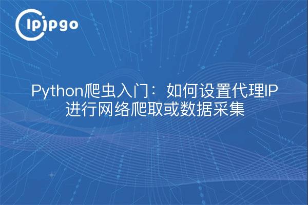 Python爬虫入门：如何设置代理IP进行网络爬取或数据采集