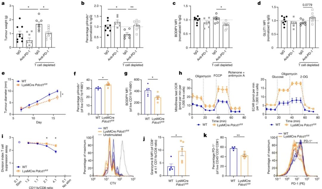 因胖得福?Nature:肥胖竟能提高肿瘤免疫疗效,但也会增加患癌风险!从多国自然热点角度切入,发现肥胖是“双刃剑”