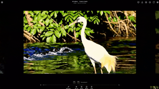 712bd263de02317c970f6c6edf534737.gif