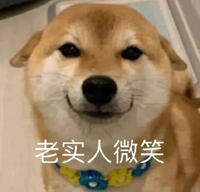7131c72352053a89d3fcfa9c5e3318e0.jpeg
