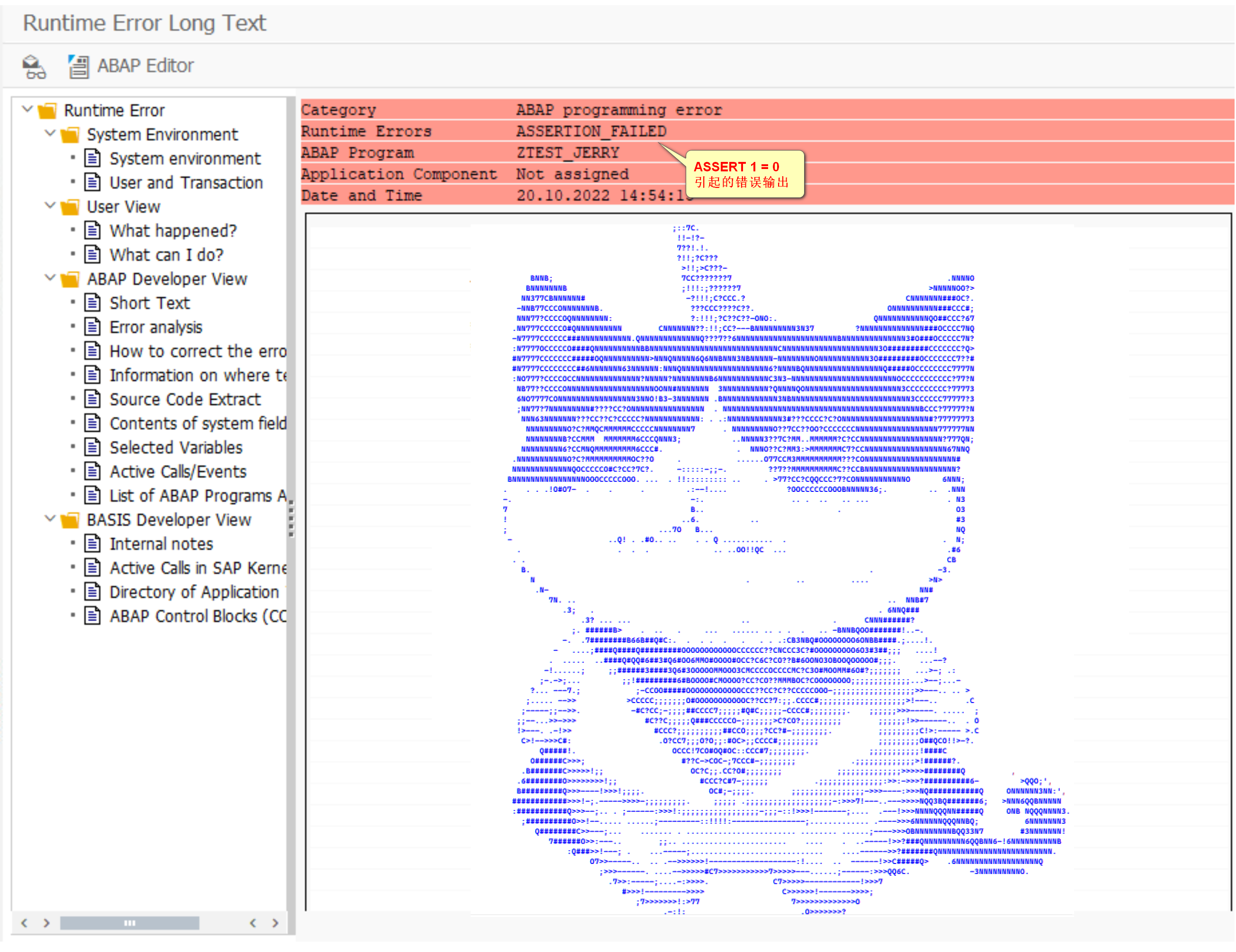 在 ABAP 开发工具运行时错误显示界面里植入思否猫