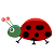 716cf9d316ddc2dd9720785983669752.png