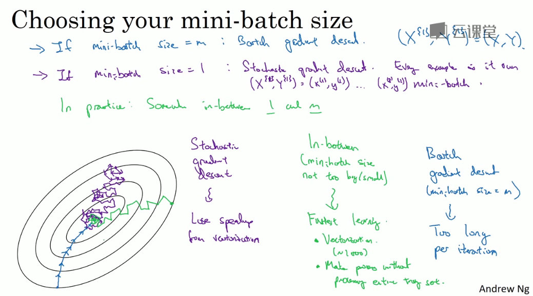 image-20211116151513187