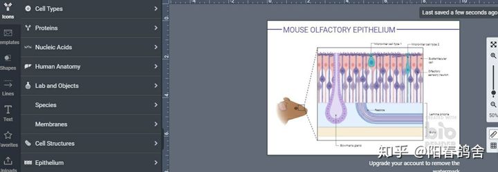 SCI论文写作 -- 新手如何写第一篇sci