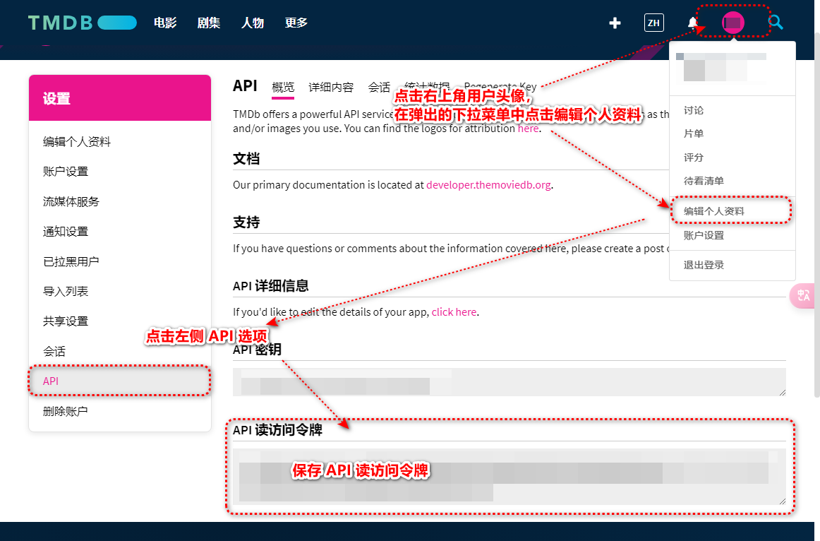 TMDB API Token