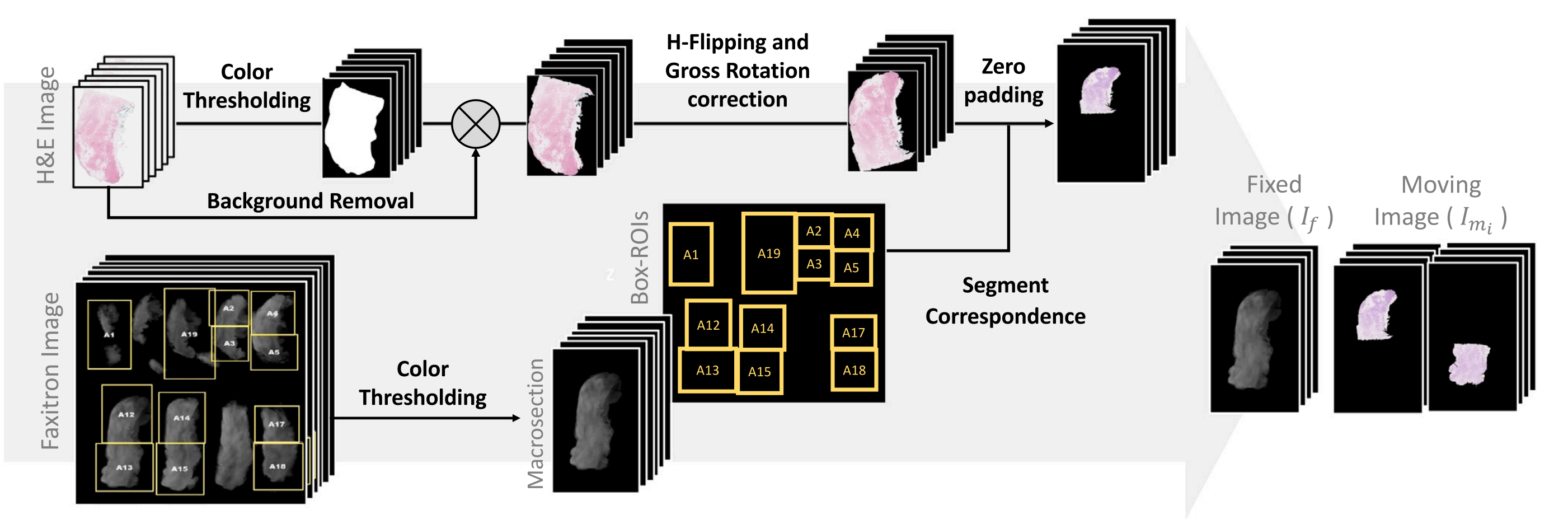 Fig. 1. Data preprocessing pipeline for histopathology and faxitron images.