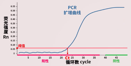 qpcr与新冠病毒核酸检测_rt-pcr标准曲线图_正在输入中…的博客