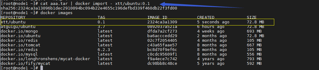 image-20220111232338384