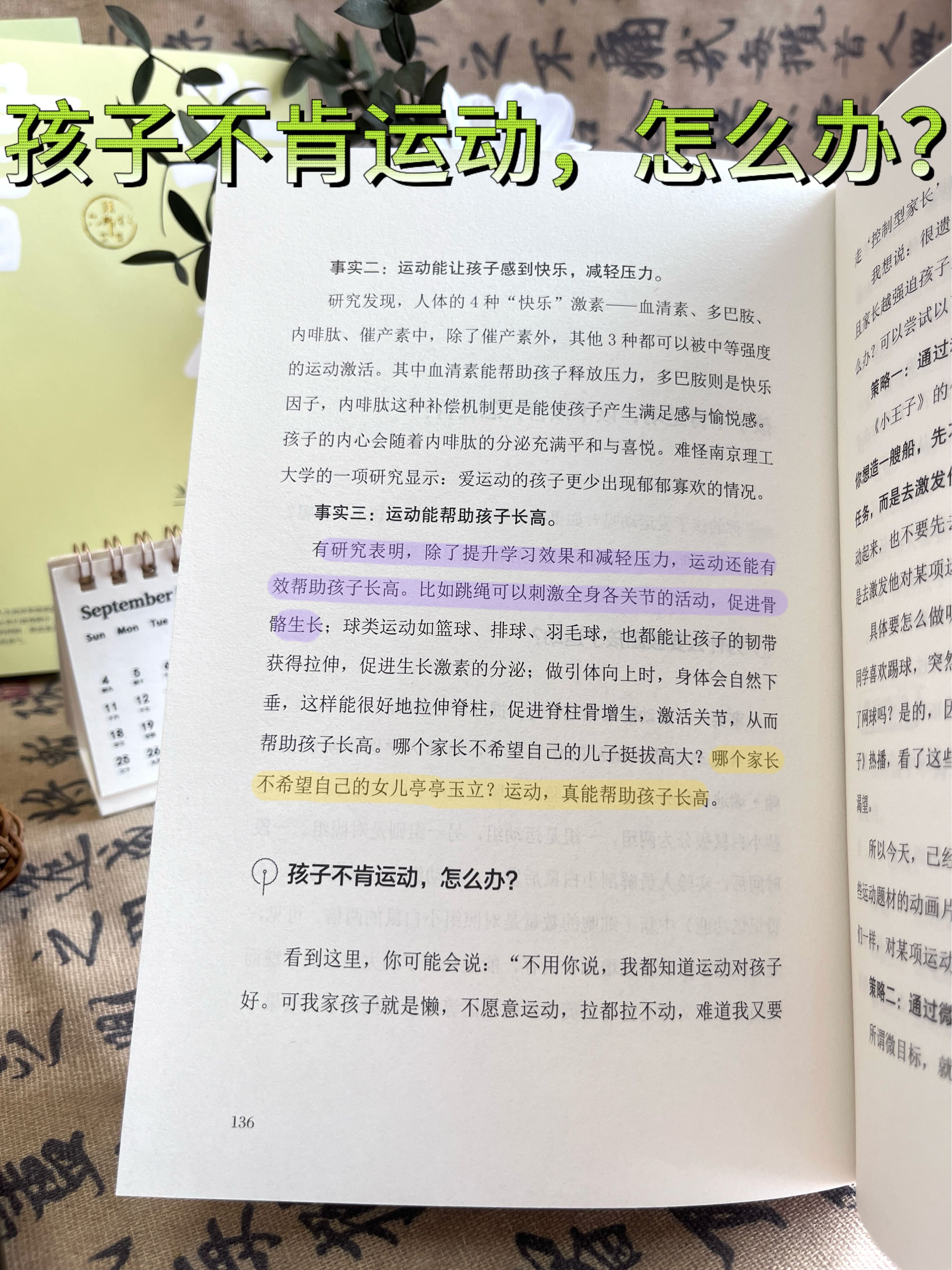 722c096af33fbde5bf3b19a8428ea28a.jpeg