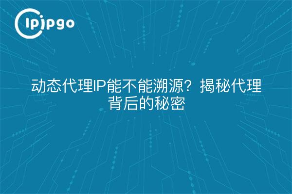 动态代理IP能不能溯源？揭秘代理背后的秘密