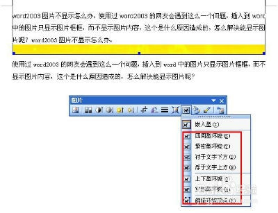 word2003图片不显示