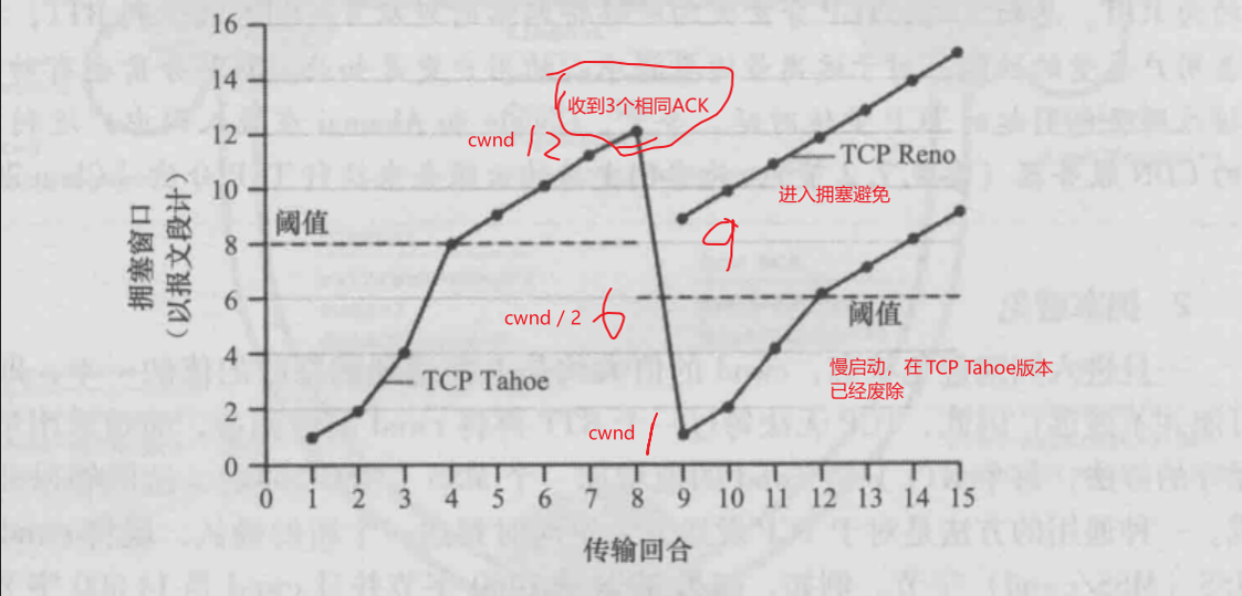 早期TCP拥塞控制.webp