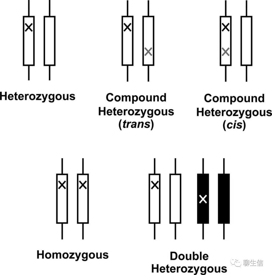 7296bc466a2b1a3ed06369041ef43445.png