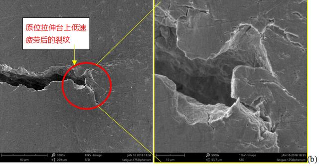 cdr图片随意拉伸变形_扫描电镜中的原位拉伸台应用实例