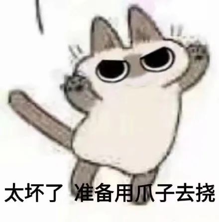 729d008bc73945ab7984aef1e2b1e9b5.png